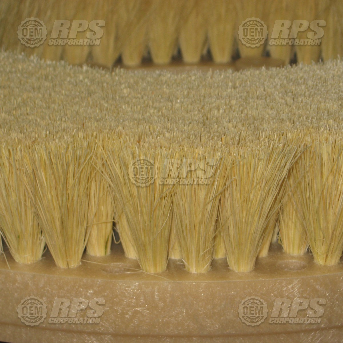 FactoryCat/Tomcat 23-421T, Brush,Tampico,22"