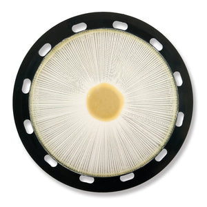 Advance Euroclean GD930, Canister Vacuum, 3 Gallon, Electric, With Tools, HEPA, 2 year Warranty, 9055314010