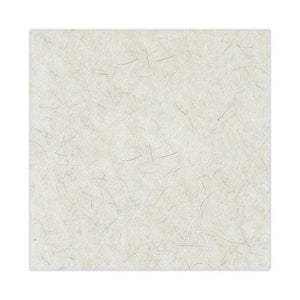 Natural Burnishing Floor Pads, 20" Diameter, White, 5/carton