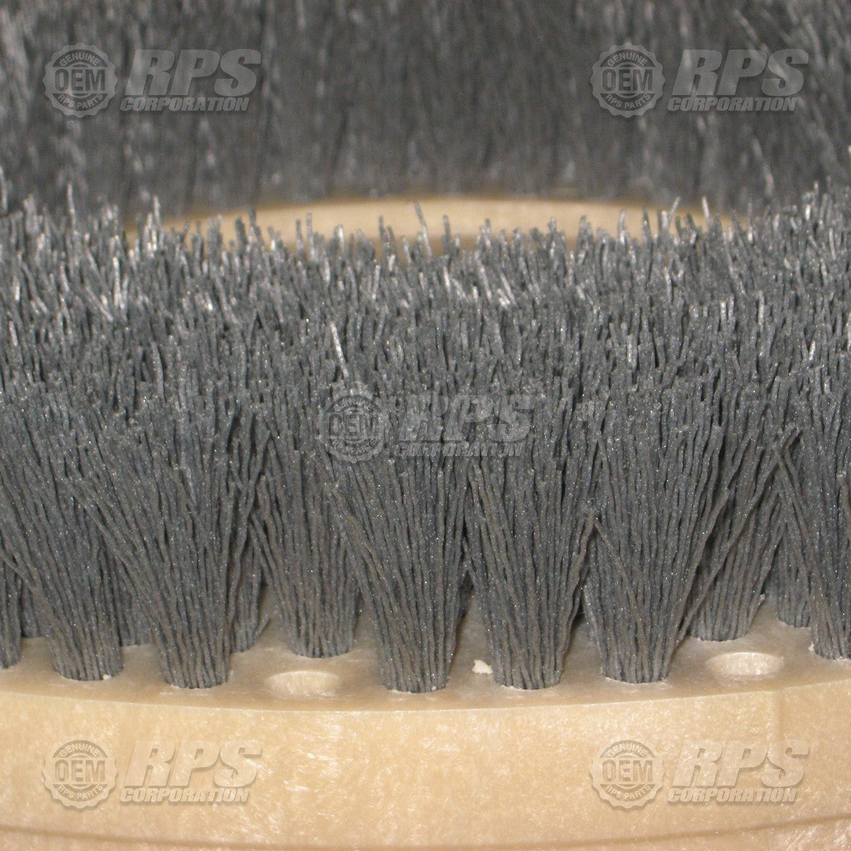 FactoryCat/Tomcat 13-421PS, Brush,Light-Grit,13"