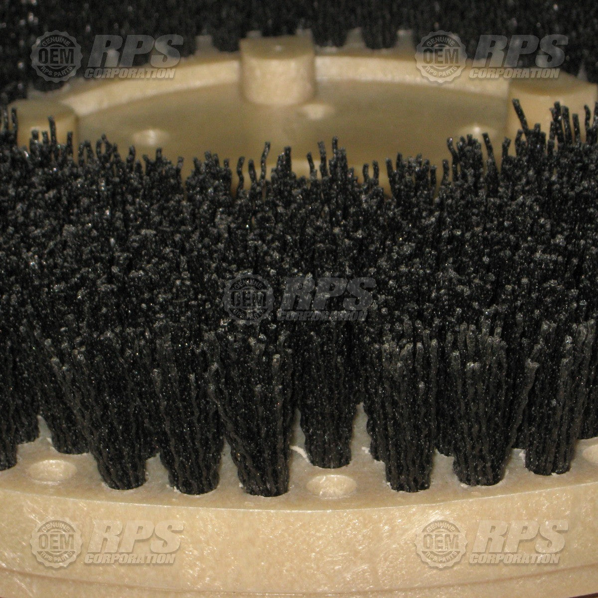 FactoryCat/Tomcat 14-421S, Brush,Tough-Grit,14"