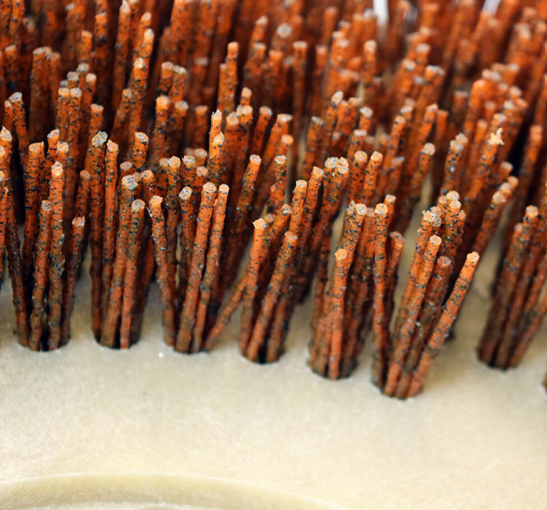 Malish Mal-Grit Xtra™ Rotary Grit Brushes, Includes Pre-Installed NP-9200 Clutch Plate, 46 Grit