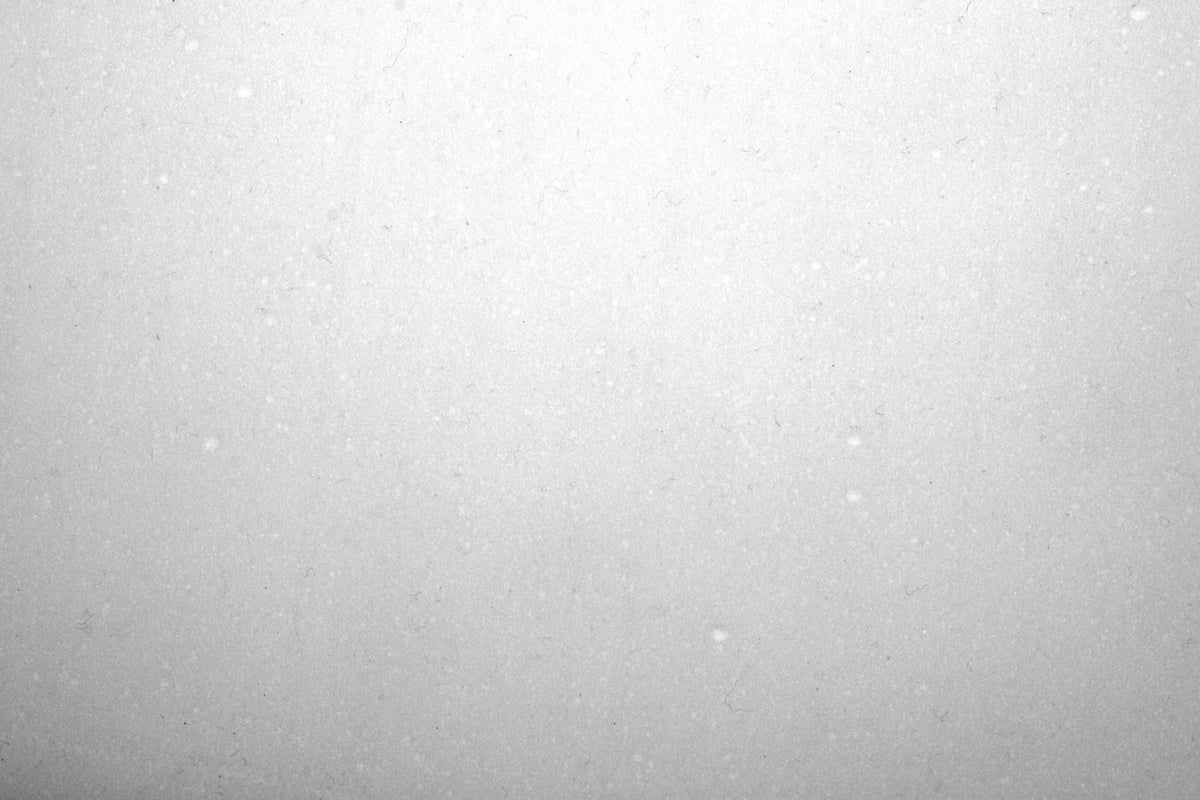 20" Xtreme Sponge - 5/Case - Square Scrub SS P1420XTR